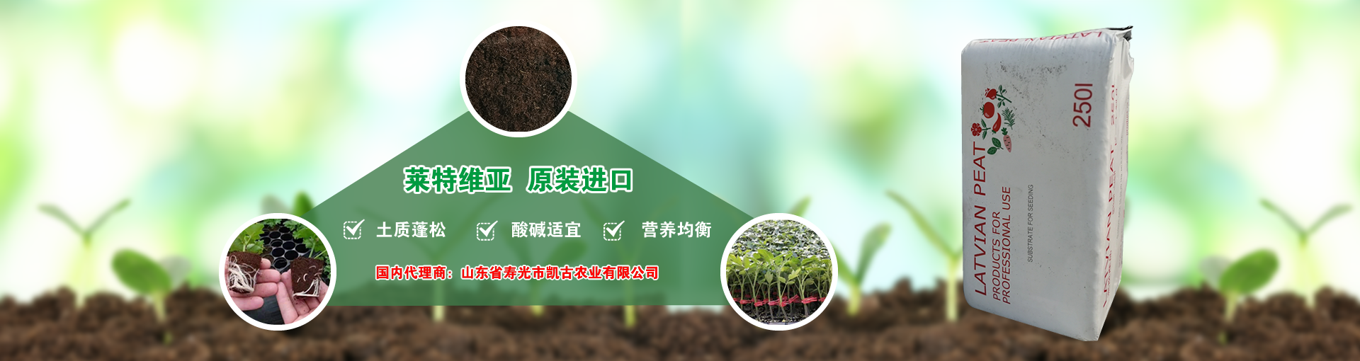 ������|(zh��)_�o(w��)������_�M(j��n)����̿_�۹�κ�������|(zh��)�ӹ��S